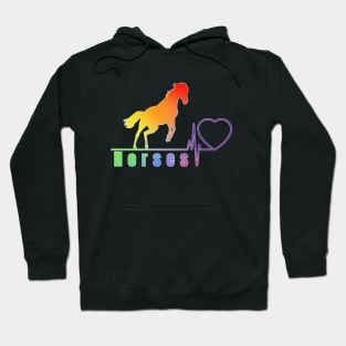 Horse rainbow color beautiful love Hoodie